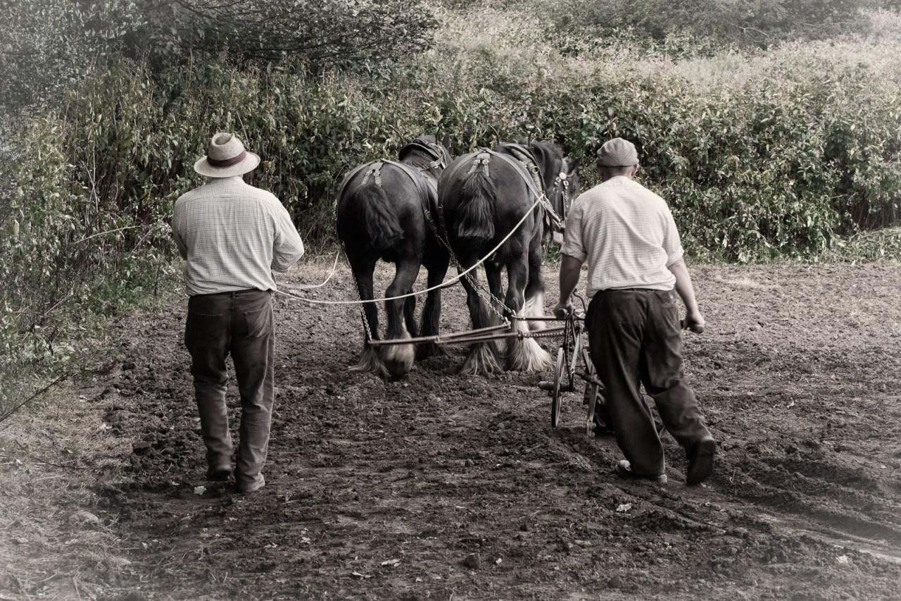 XF55-200mmF3.5-4.8 R LM OISX-E1FUJIFILM-18
