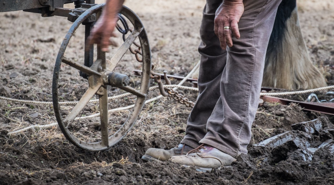 XF55-200mmF3.5-4.8 R LM OISX-E1FUJIFILM-2