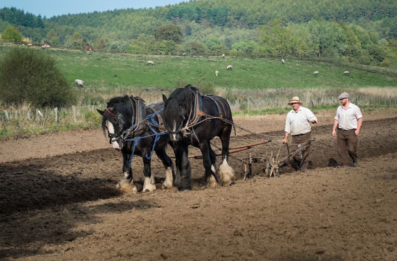 XF55-200mmF3.5-4.8 R LM OISX-E1FUJIFILM-26