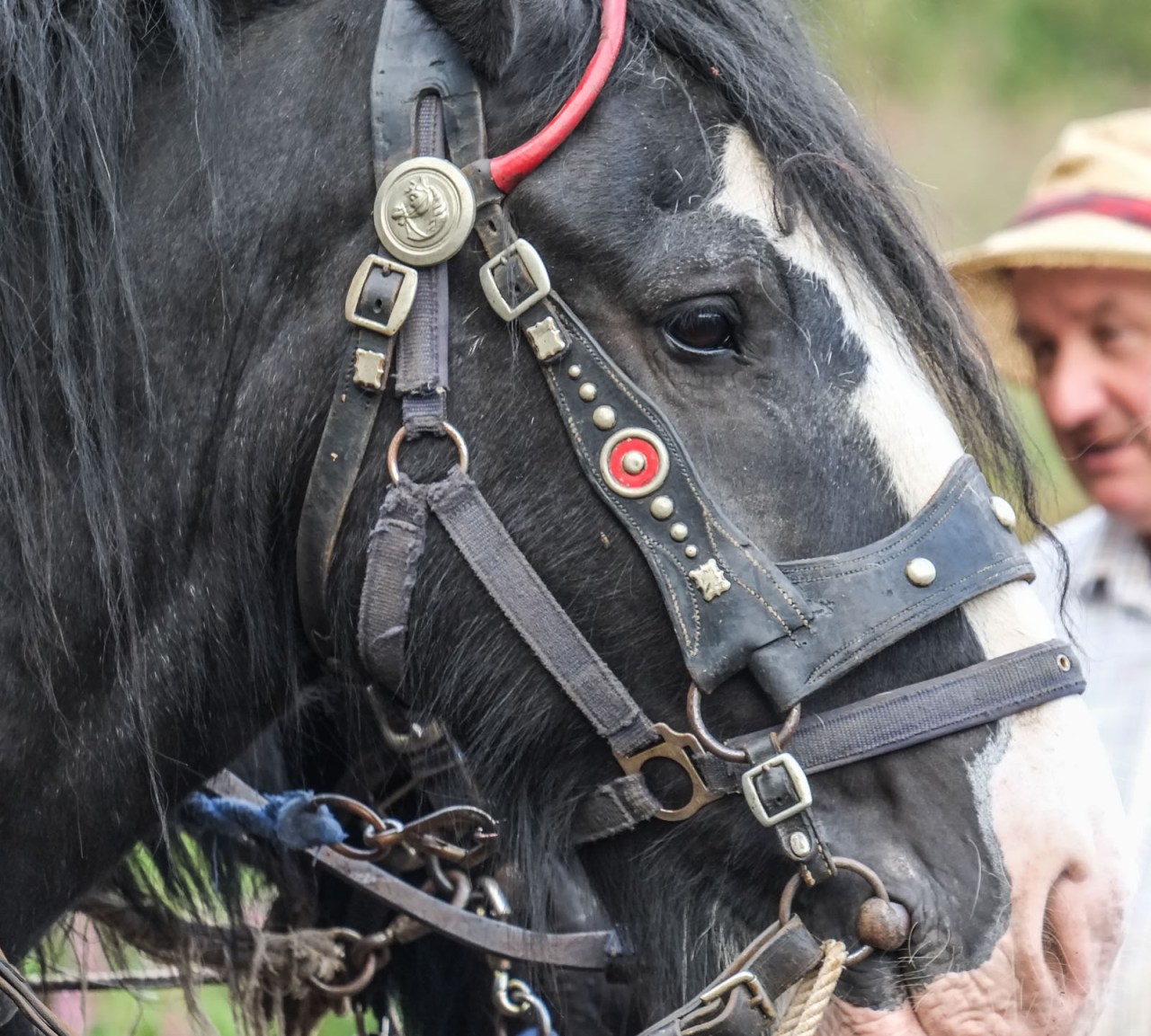 XF55-200mmF3.5-4.8 R LM OISX-E1FUJIFILM-29