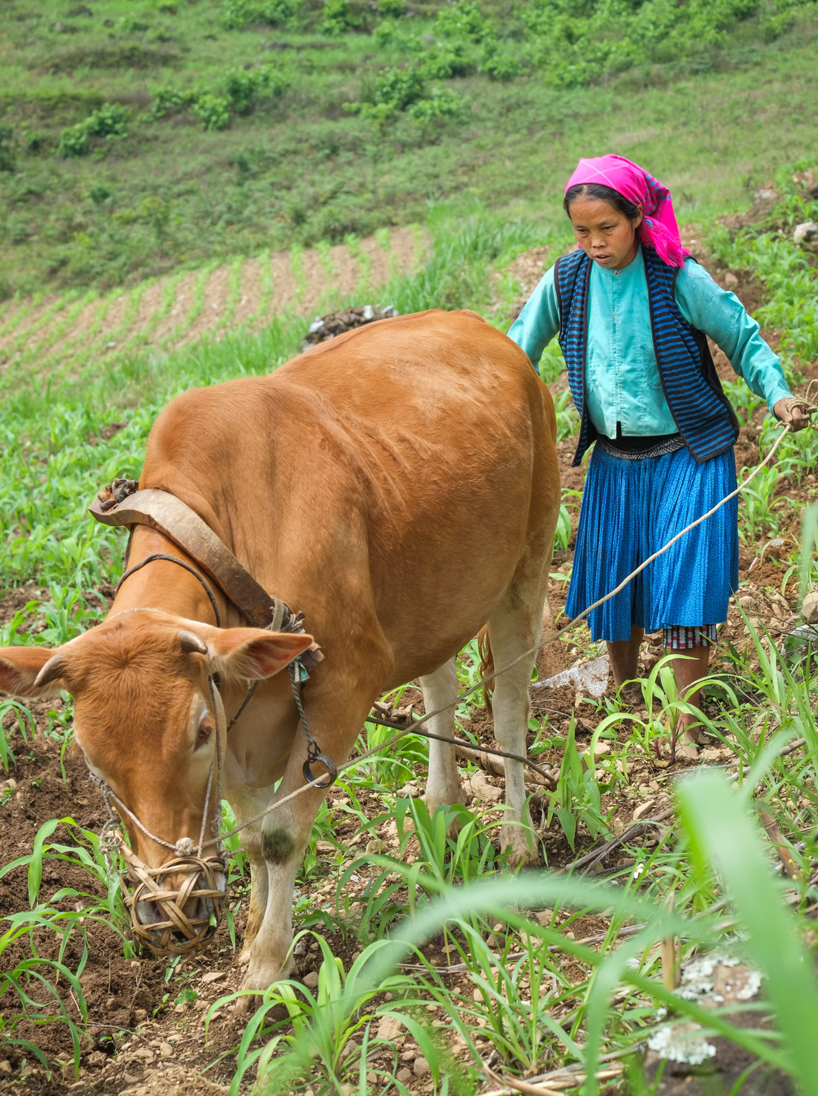 ©ClareRowntreeXF55-200mmF3.5-4.8 R LM OISX-E1FUJIFILM