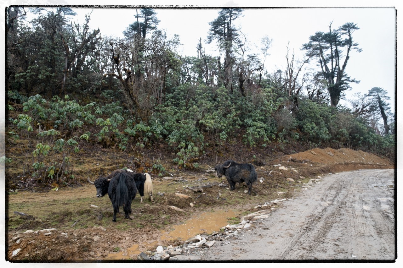 ©ClareRowntreeXF14mmF2.8 RX-E1FUJIFILM-10