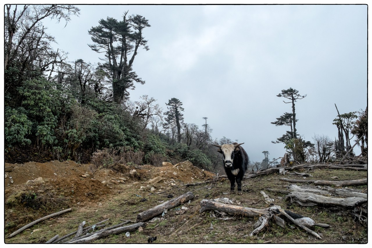 ©ClareRowntreeXF14mmF2.8 RX-E1FUJIFILM-11