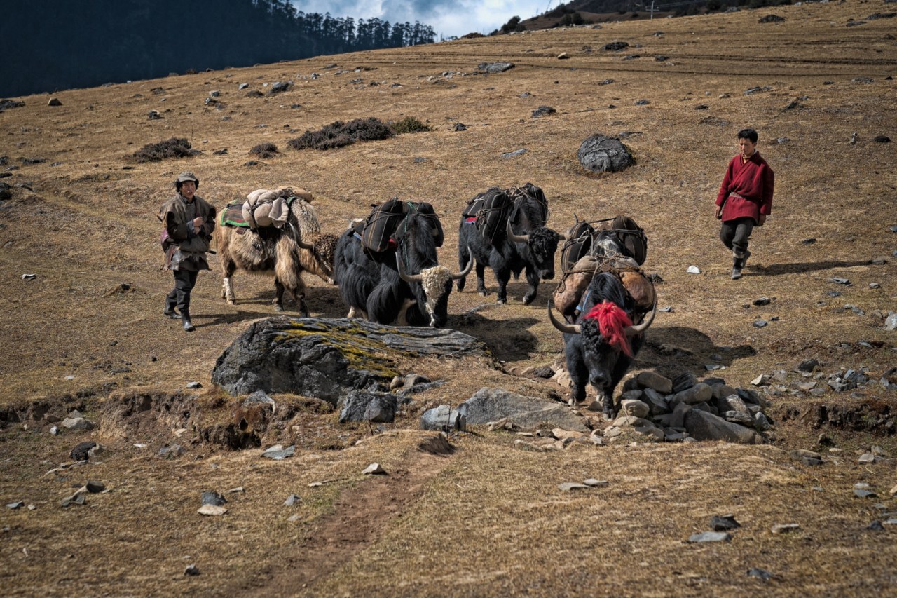 ©ClareRowntreeXF56mmF1.2 RX-E1FUJIFILM-2