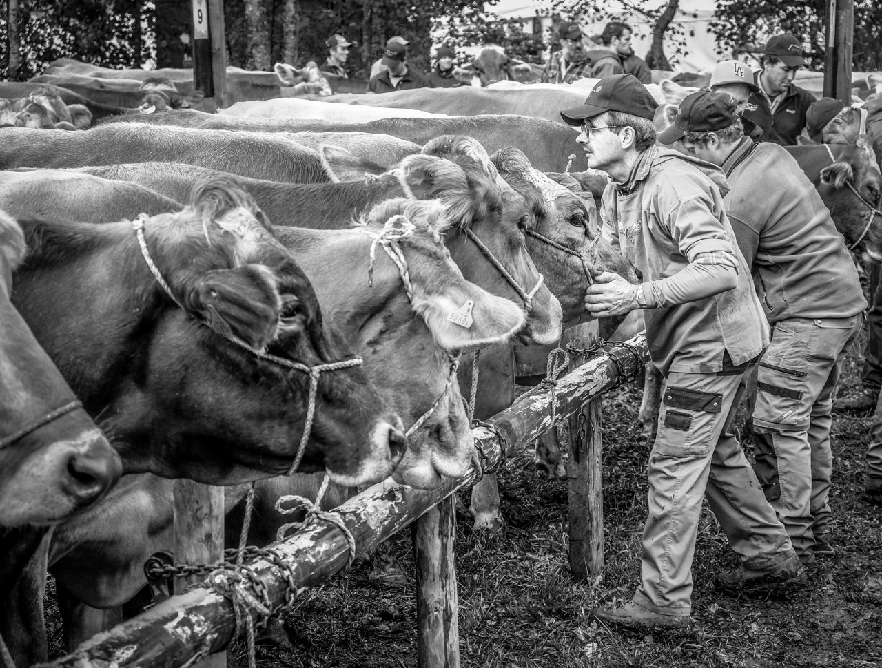 XF18-55mmF2.8-4 R LM OISX-T1FUJIFILM-8