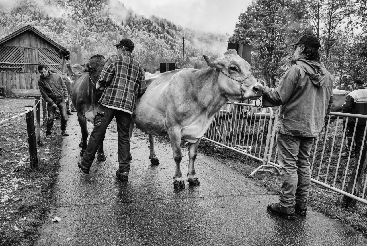 XF18-55mmF2.8-4 R LM OISX-T1FUJIFILM