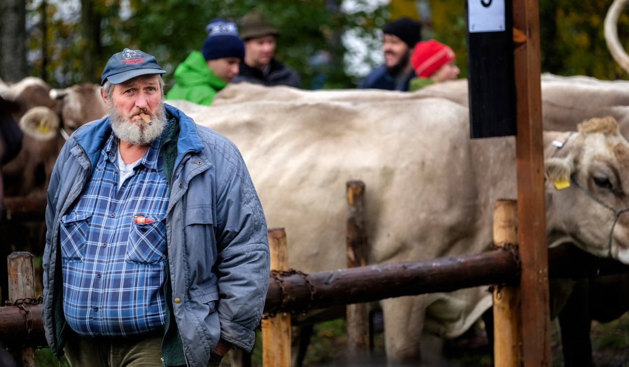 XF50-140mmF2.8 R LM OIS WRX-T1FUJIFILM-11