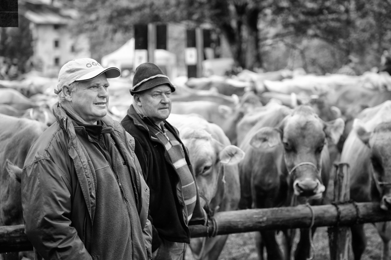 XF50-140mmF2.8 R LM OIS WRX-T1FUJIFILM-16