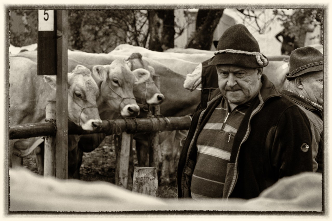 XF50-140mmF2.8 R LM OIS WRX-T1FUJIFILM-2