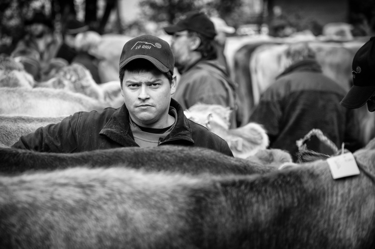 XF50-140mmF2.8 R LM OIS WRX-T1FUJIFILM-30