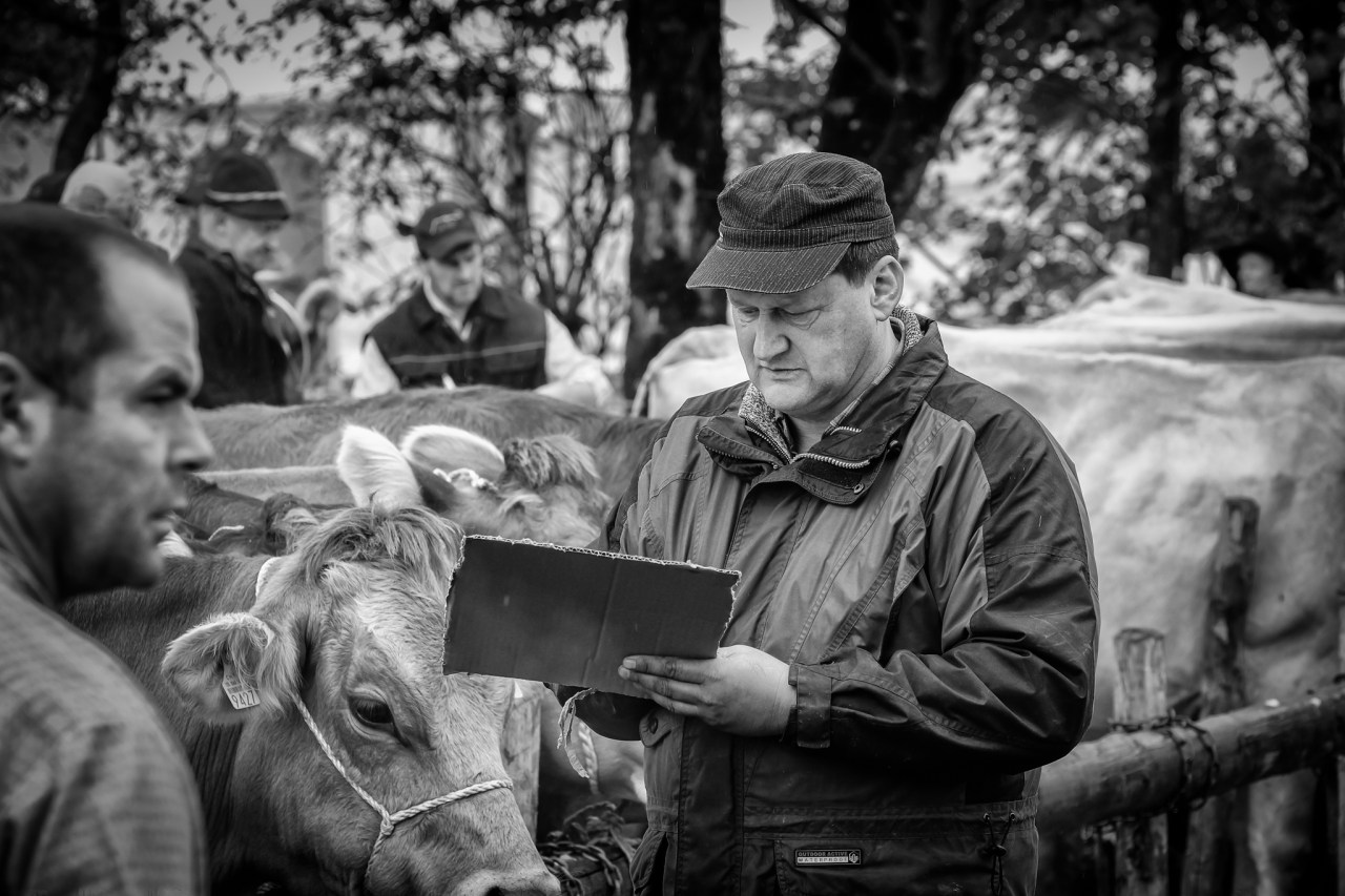 XF50-140mmF2.8 R LM OIS WRX-T1FUJIFILM-4