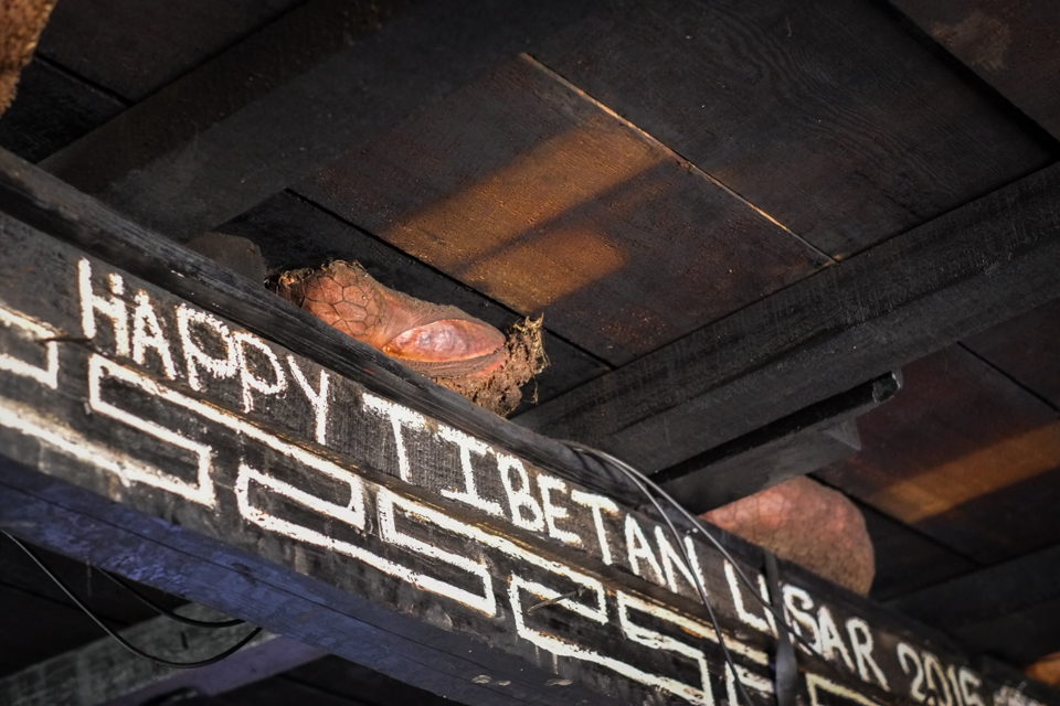 ©ClareRowntreeXF56mmF1.2 RX-E1FUJIFILM-3